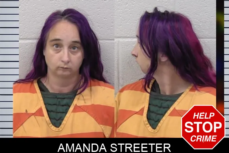 Amanda Streeter mugshot