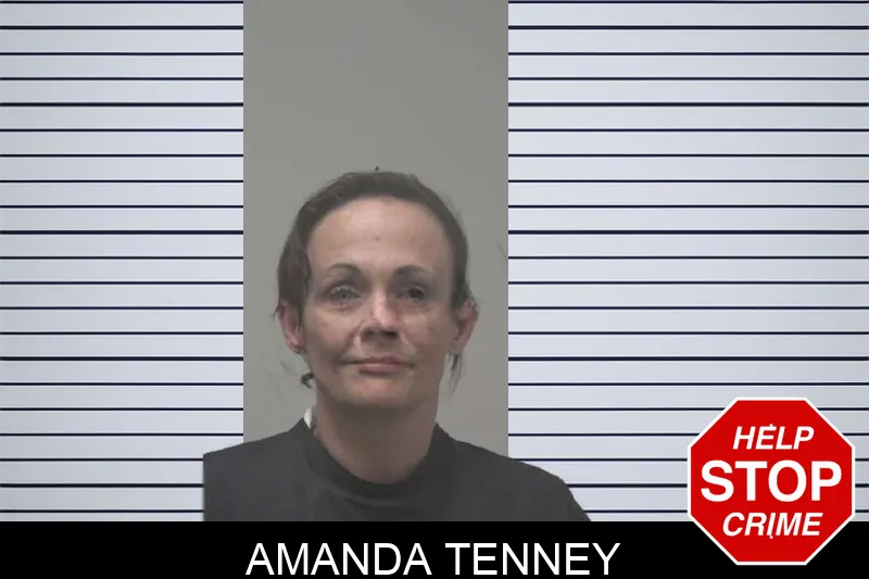 Amanda Tenney mugshot