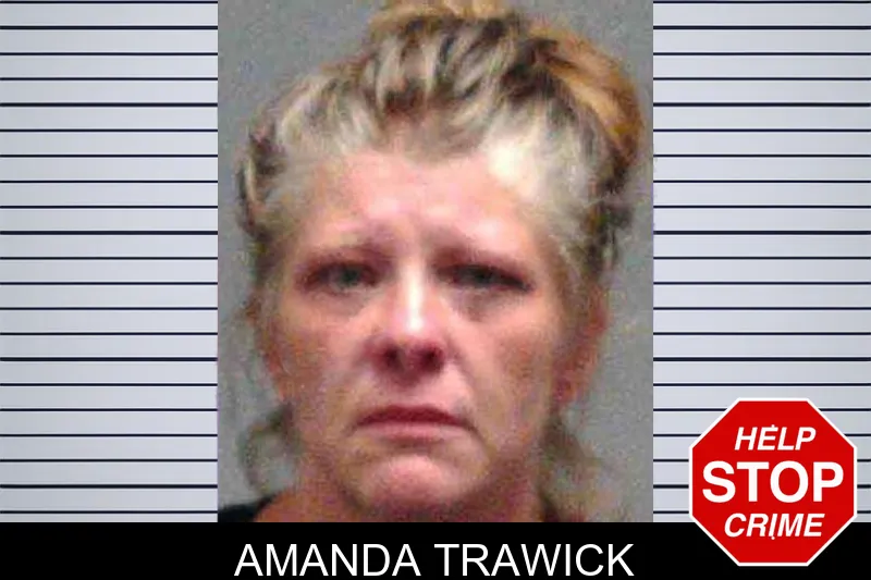 Amanda Trawick mugshot