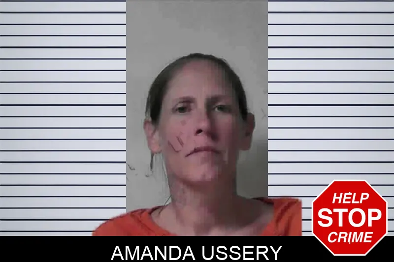 Amanda Ussery mugshot