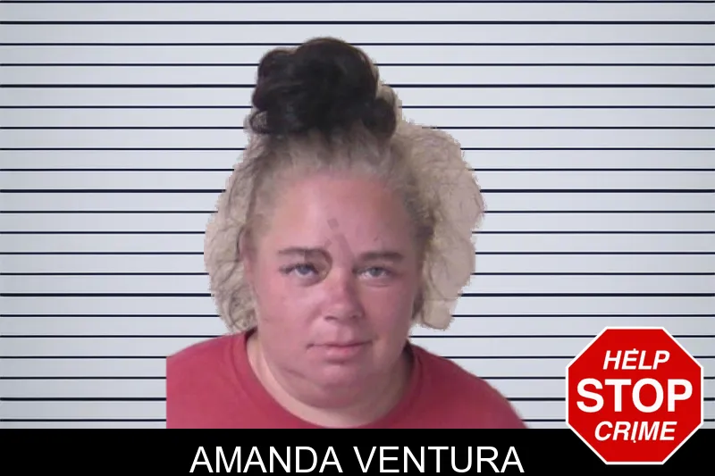 Amanda Ventura mugshot