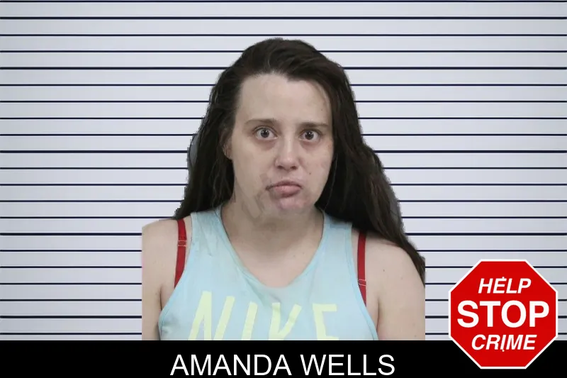 Amanda Wells mugshot