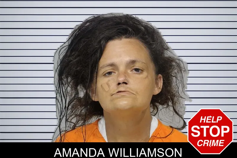 Amanda Williamson mugshot