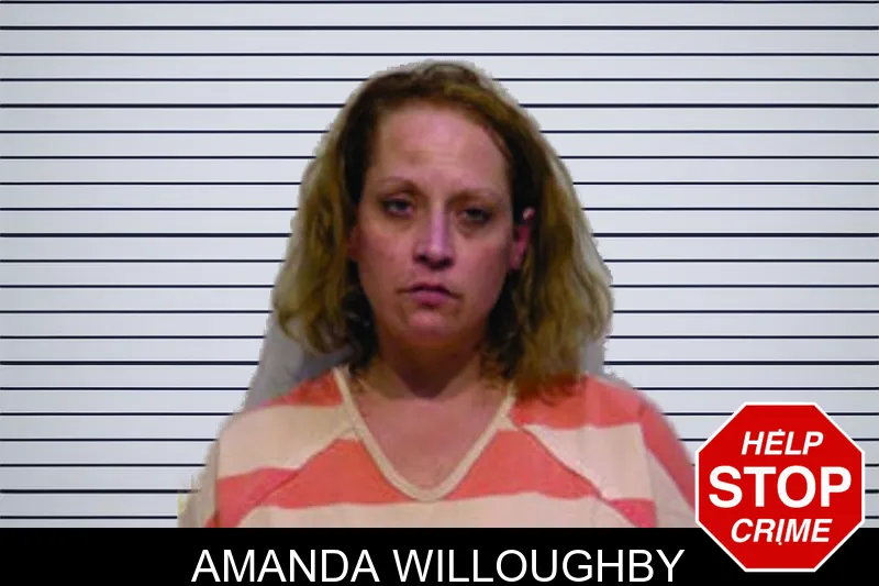 Amanda Willoughby mugshot