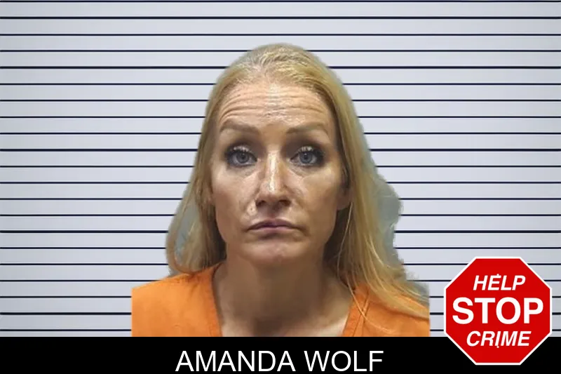 Amanda Wolf mugshot