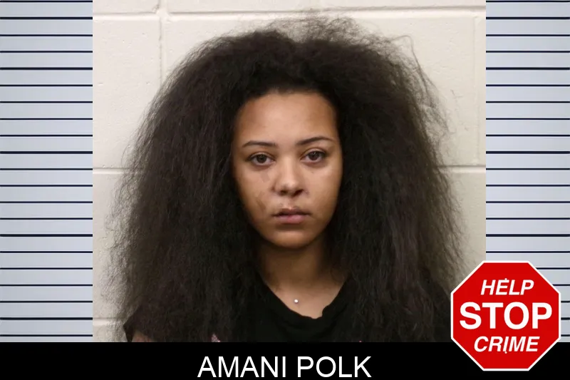 Amani Polk mugshot