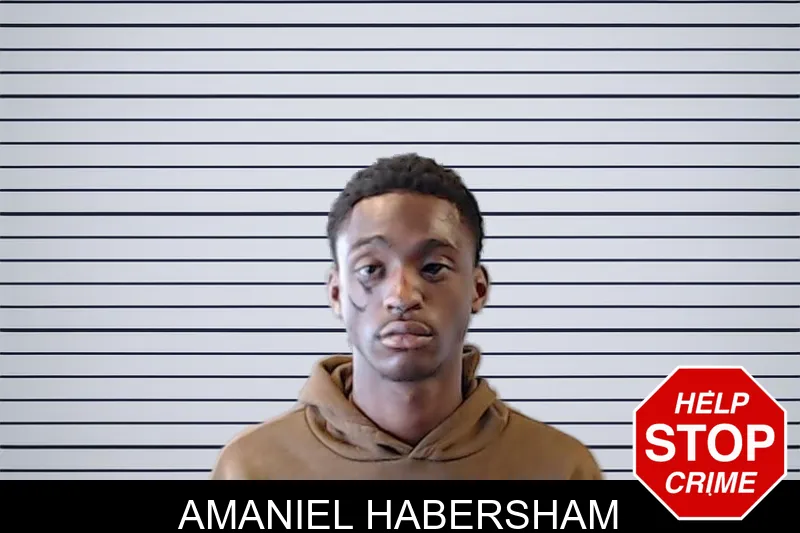 Amaniel Habersham mugshot