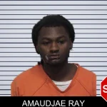 Amaudjae Ray mugshot