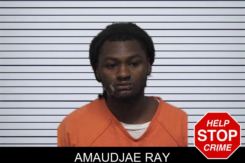 Amaudjae Ray mugshot