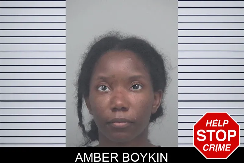 Amber Boykin mugshot