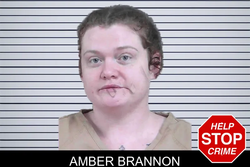 Amber Brannon mugshot