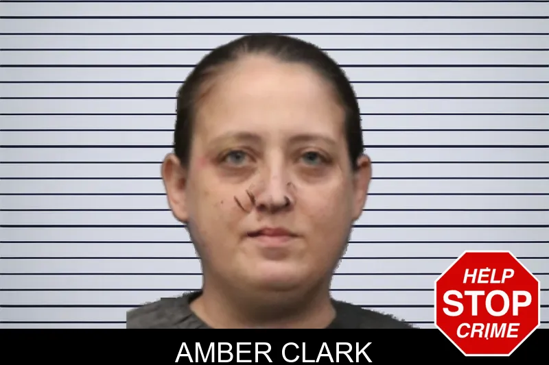 Amber Clark mugshot
