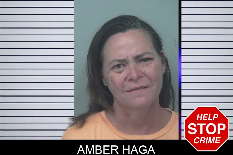 Amber Haga mugshot