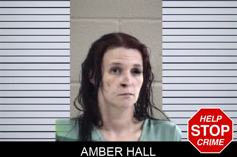Amber Hall mugshot
