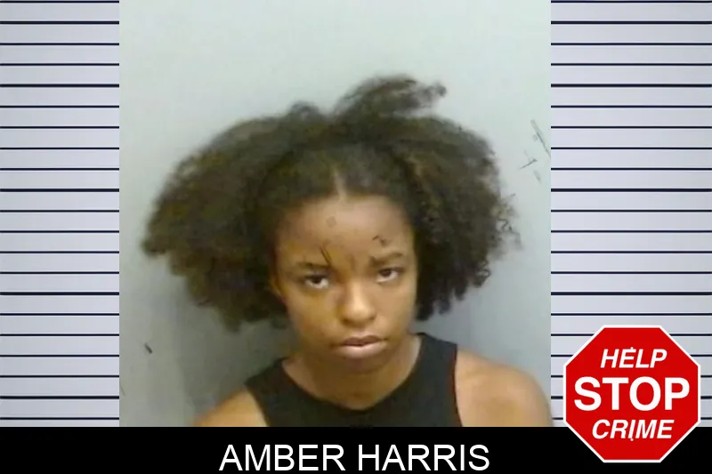 Amber Harris mugshot