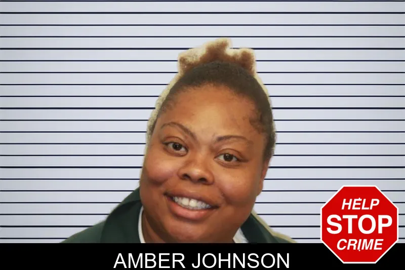 Amber Johnson mugshot – Chatham County , Georgia Amber Johnson mugshot