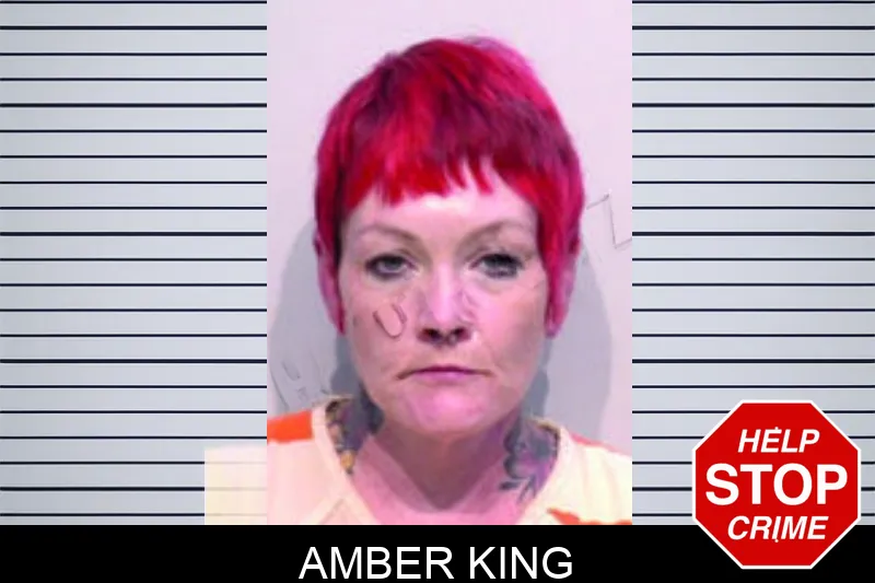Amber King mugshot