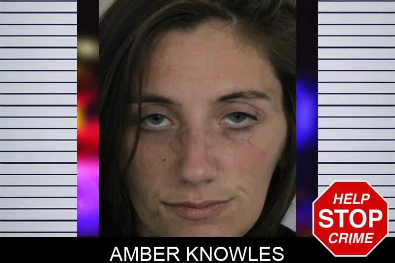Amber Knowles mugshot