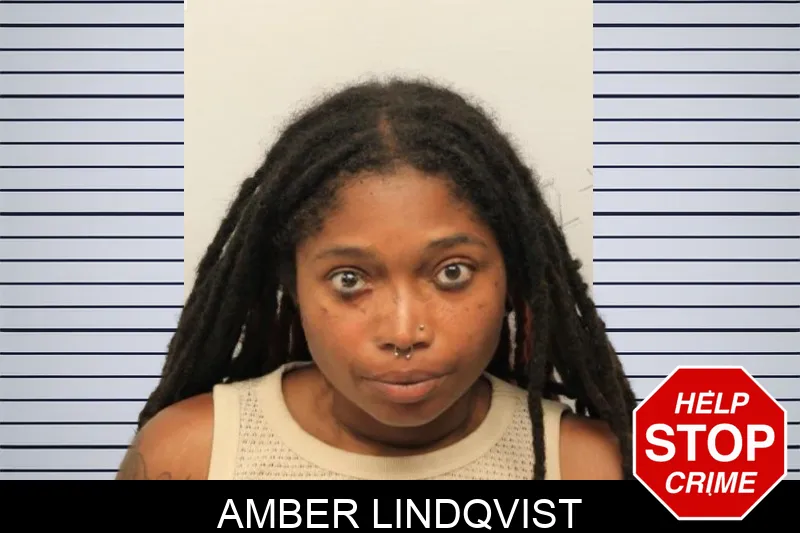 Amber Lindqvist mugshot