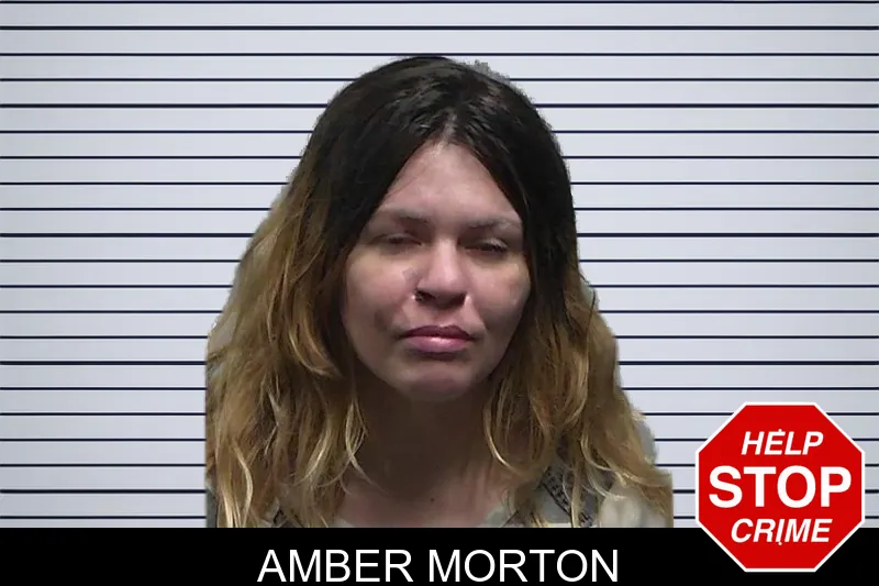 Amber Morton mugshot