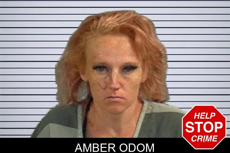 Amber Odom mugshot