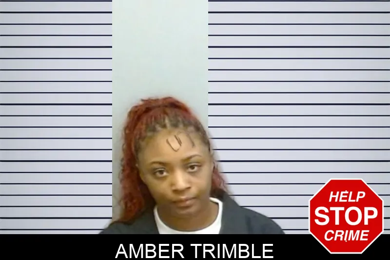 Amber Trimble mugshot