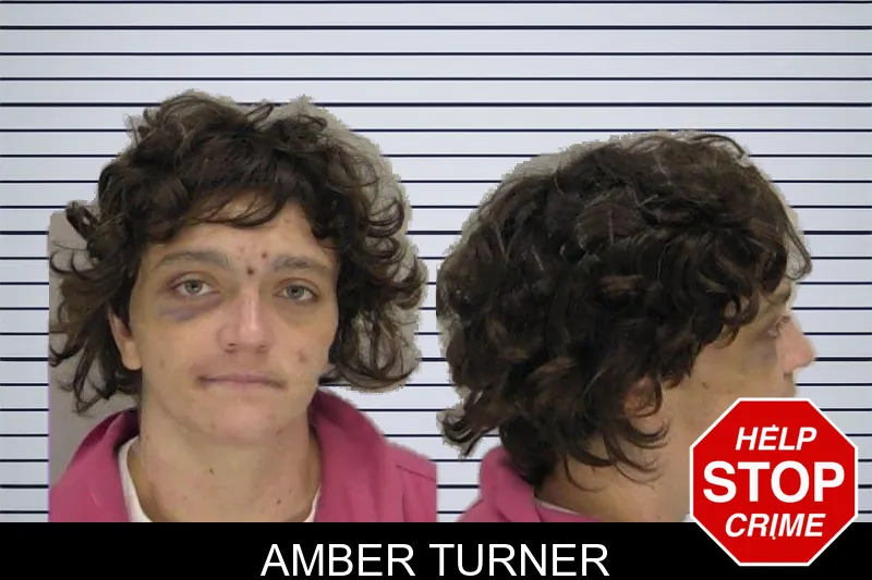 Amber Turner mugshot