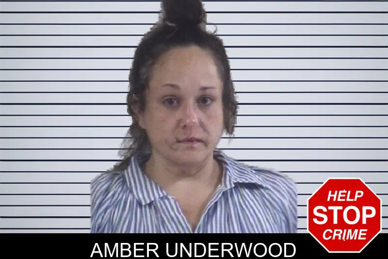 Amber Underwood mugshot