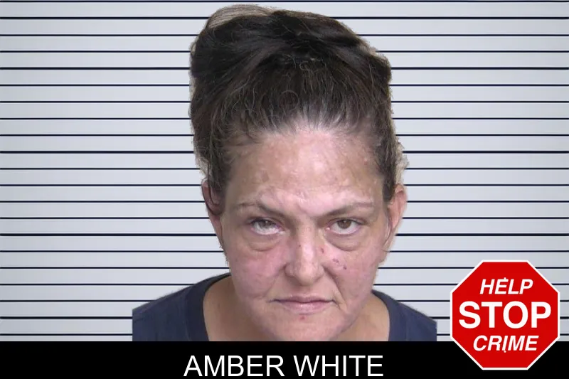 Amber White mugshot