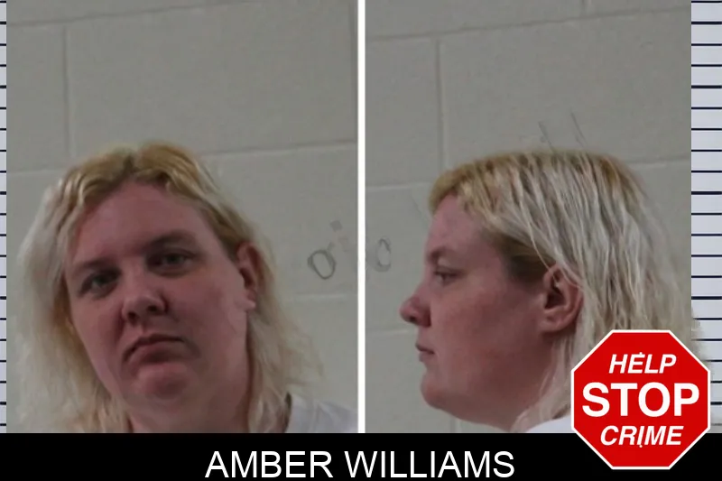 Amber Williams mugshot