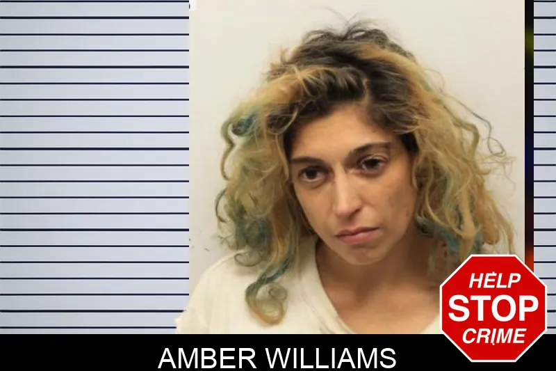 Amber Williams mugshot