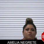 Amelia Negrete mugshot