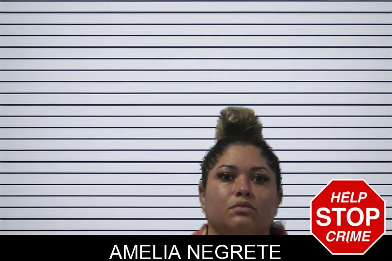 Amelia Negrete mugshot