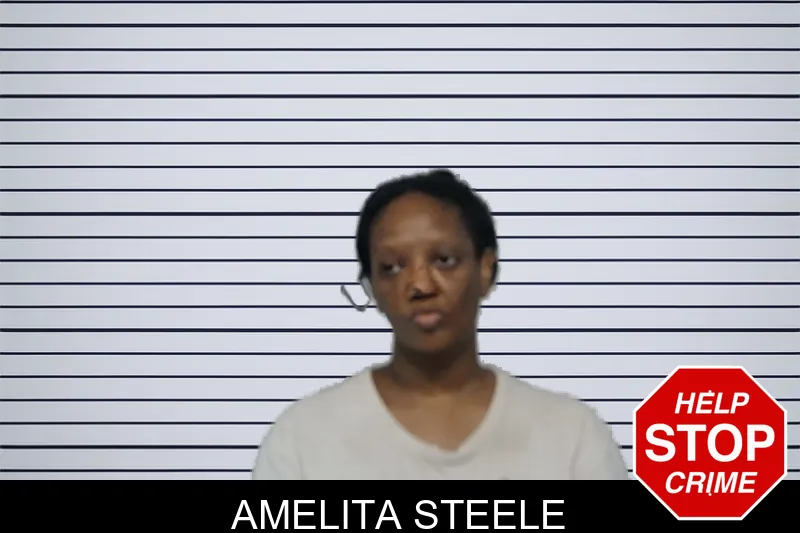 Amelita Steele mugshot