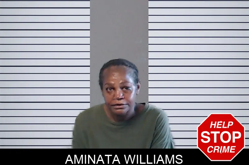 Aminata Williams mugshot