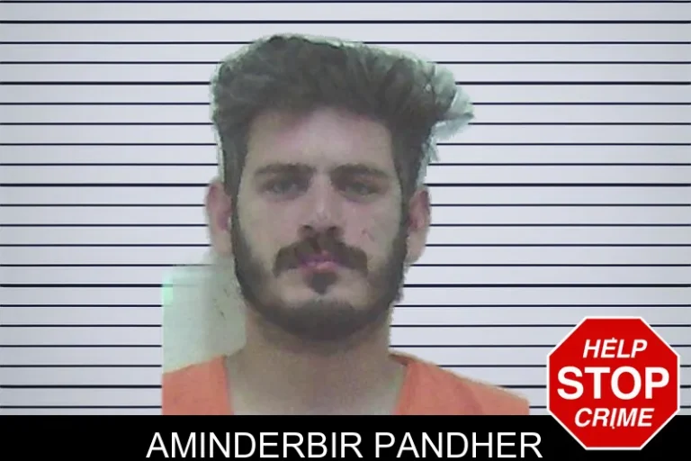 Aminderbir Pandher