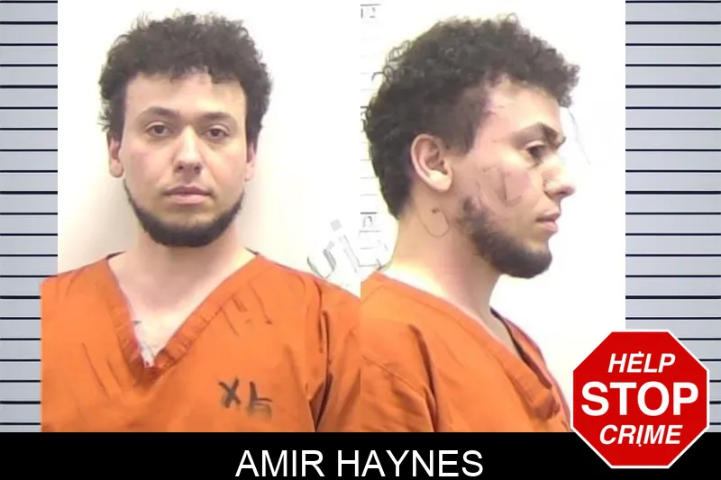 Amir Haynes mugshot
