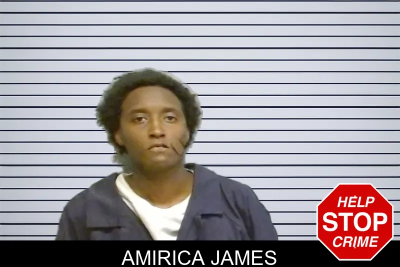 Amirica James mugshot