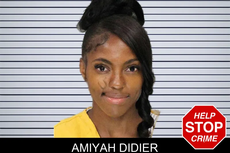 Amiyah Didier mugshot