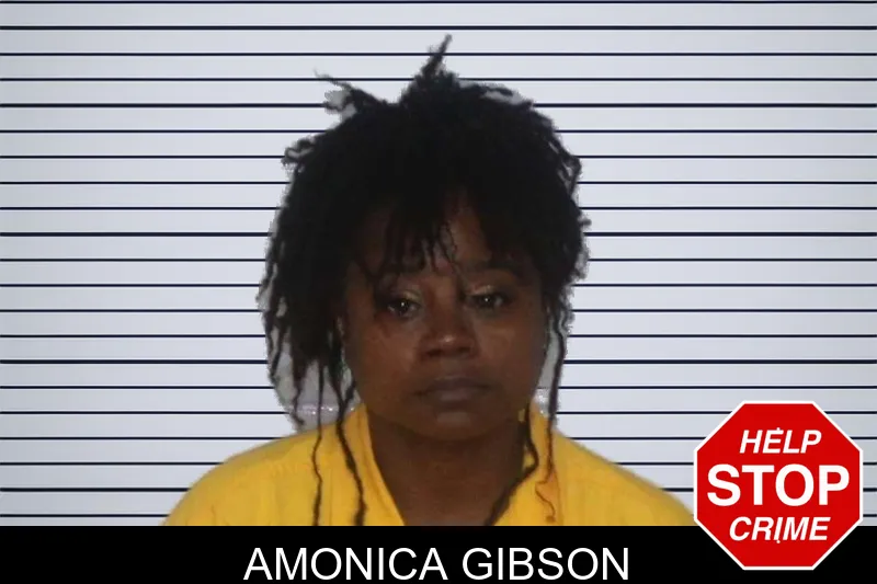 Amonica Gibson mugshot