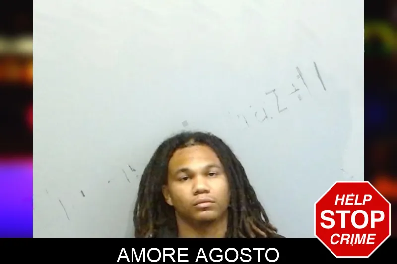 Amore Agosto mugshot