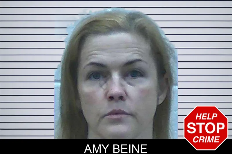 Amy Beine mugshot