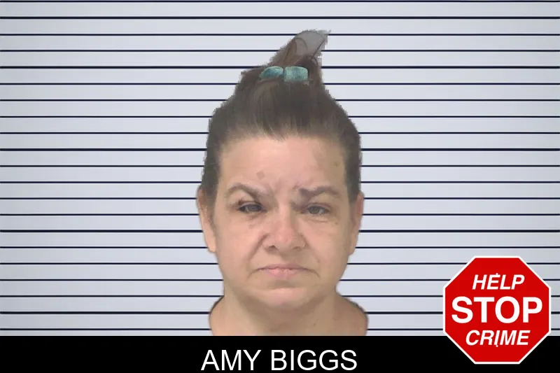 Amy Biggs mugshot