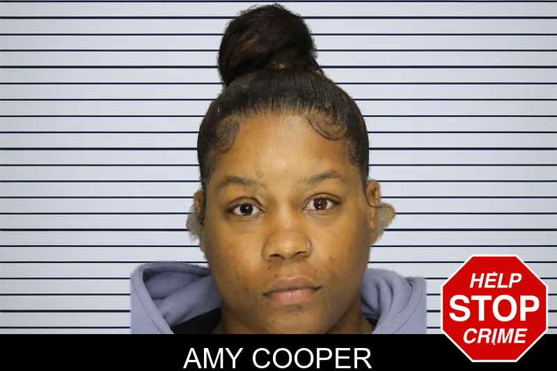 Amy Cooper mugshot