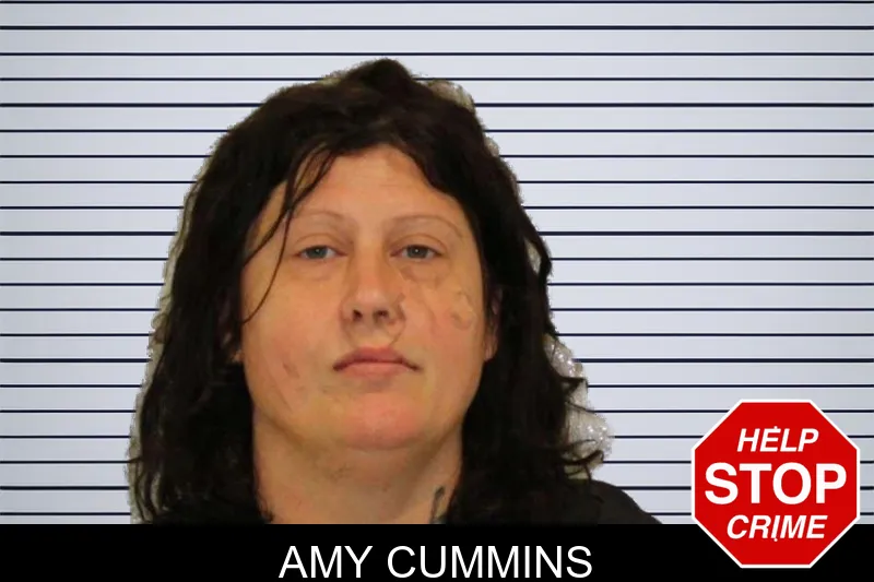 Amy Cummins mugshot