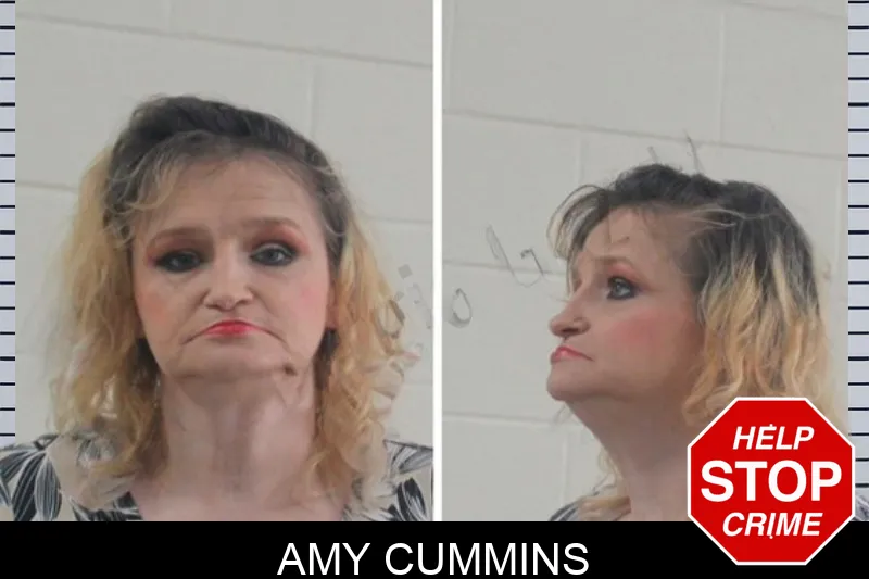 Amy Cummins mugshot