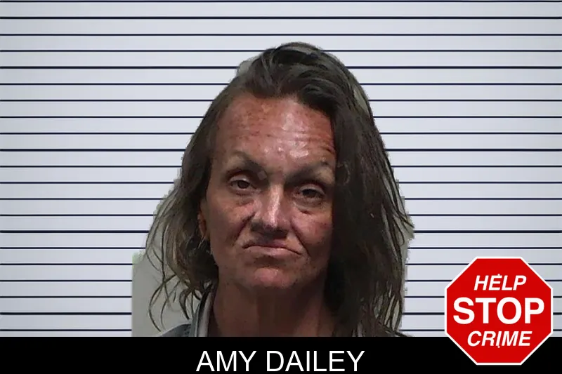 Amy Dailey mugshot