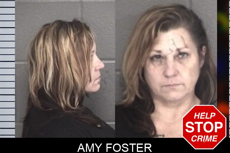Amy Foster mugshot