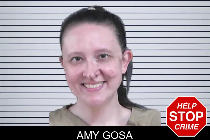 Amy Gosa mugshot