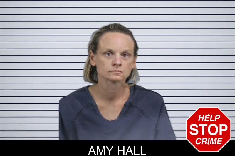 Amy Hall mugshot
